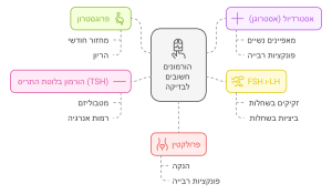 זהו תרשים מושגי המפרט את ההורמונים החשובים לבדיקת פוריות ובריאות כללית הקשורה למערכת הרבייה. התרשים מחולק לחמישה תחומים עיקריים, וכל אחד מהם מציין את ההורמון ותפקידו המרכזי: 1. **אסטרדיול (אסטרוגן)** - משפיע על מאפיינים נשיים ופונקציות רבייה. 2. **FSH ו-LH** - הורמונים המווסתים את הבשלת הזקיקים ואת הביוץ בשחלות. 3. **פרולקטין** - משפיע על הנקה ותפקודי רבייה. 4. **פרוגסטרון** - חיוני למחזורים חודשיים ולהכנת הרחם להריון. 5. **TSH (הורמון בלוטת התריס)** - משפיע על המטבוליזם ורמות האנרגיה, שקשורות לבריאות כללית ולהריון. התרשים מדגים באופן חזותי וברור את הקשר בין ההורמונים לתפקודים השונים בגוף, ומסייע להבין את חשיבות הבדיקות בתחום הפוריות.